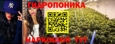крисы Мариинск
