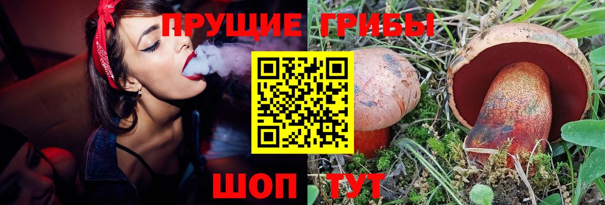 Галлюциногенные грибы Magic Shrooms  Вход с VPN  Псилоцибиновые грибы Psilocybine cubensis  Вятские Поляны 